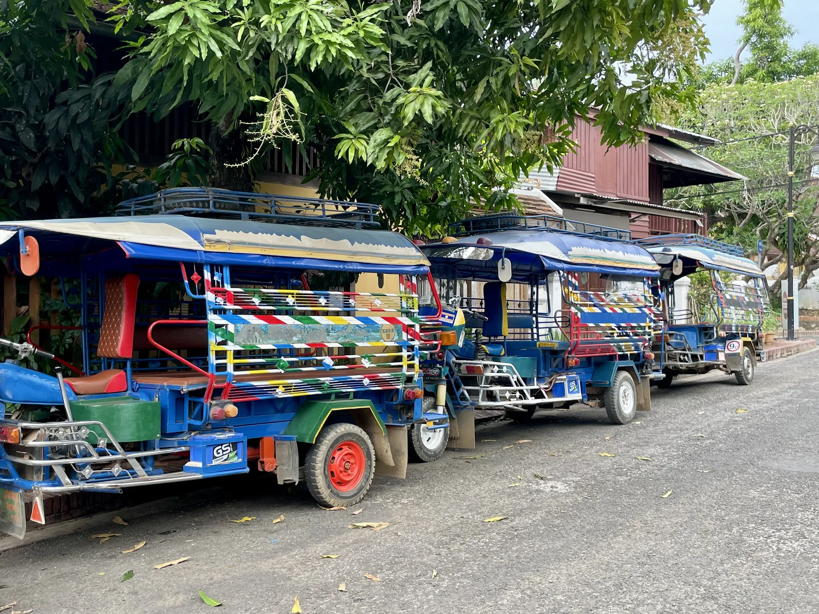Three colorful tuk-tuks parked on a leafy Luang Prabang street